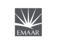miva-developer-01